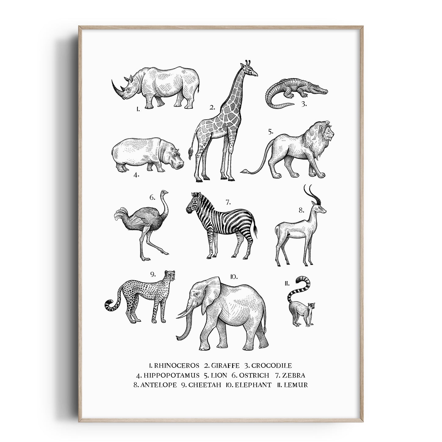 Vintage Animal Chart
