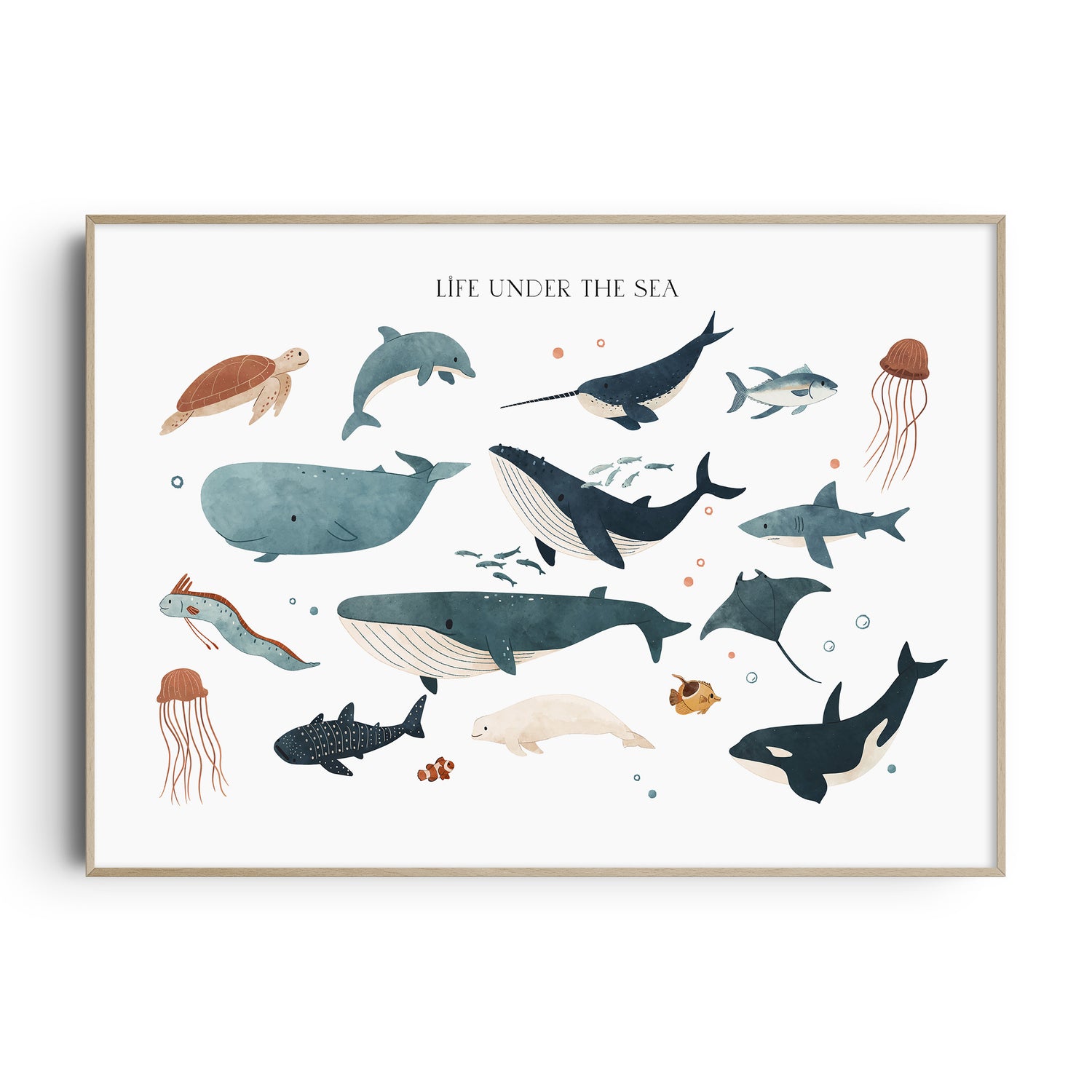 Ocean Animals Print