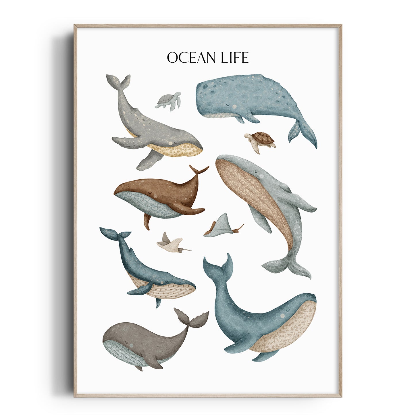 Ocean Life Print