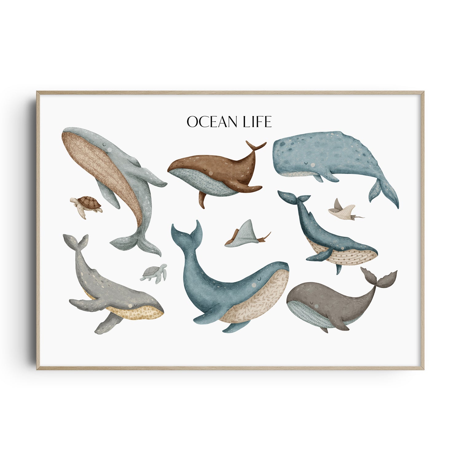 Ocean Life Print