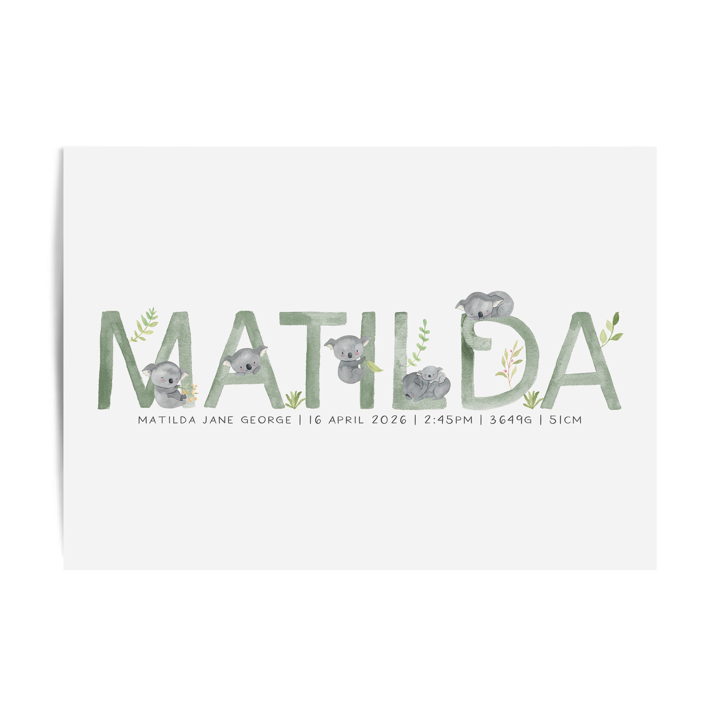 Koala Name Print