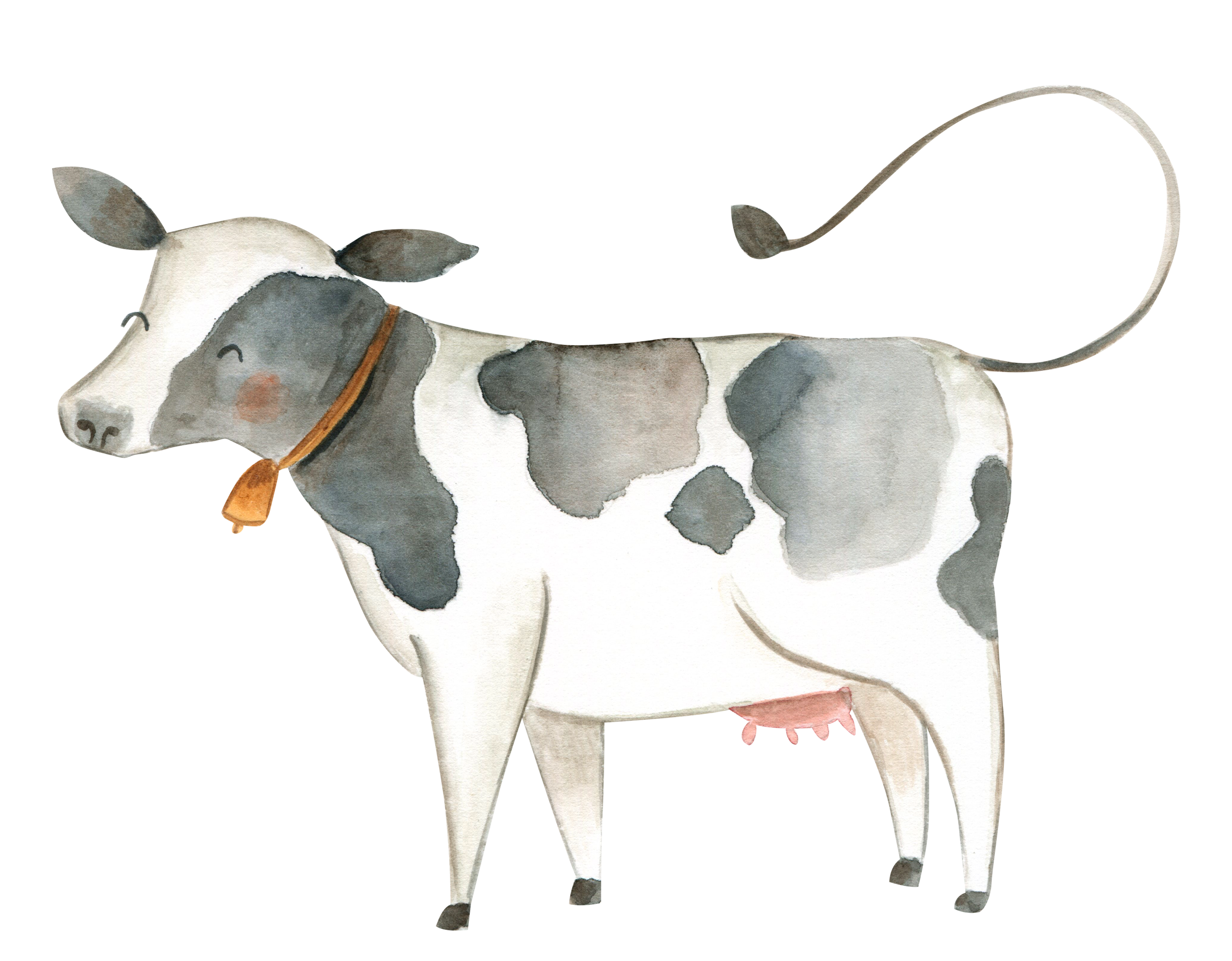 Farm