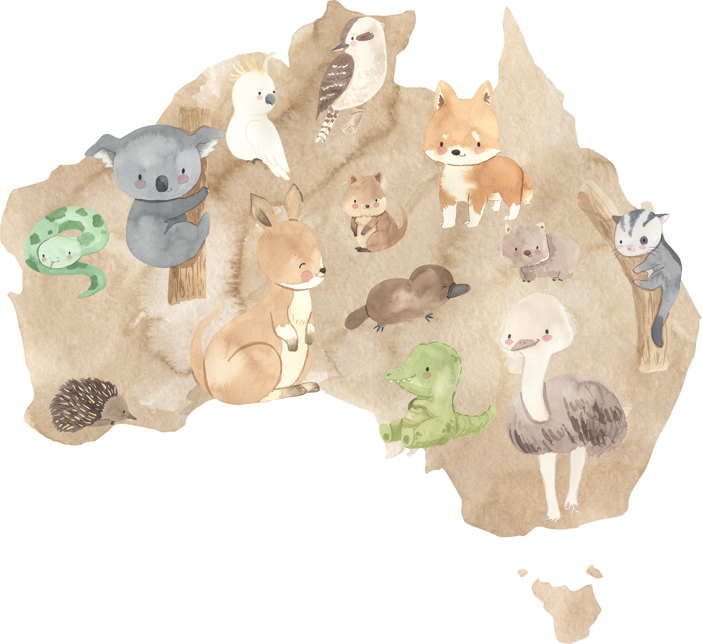World Maps