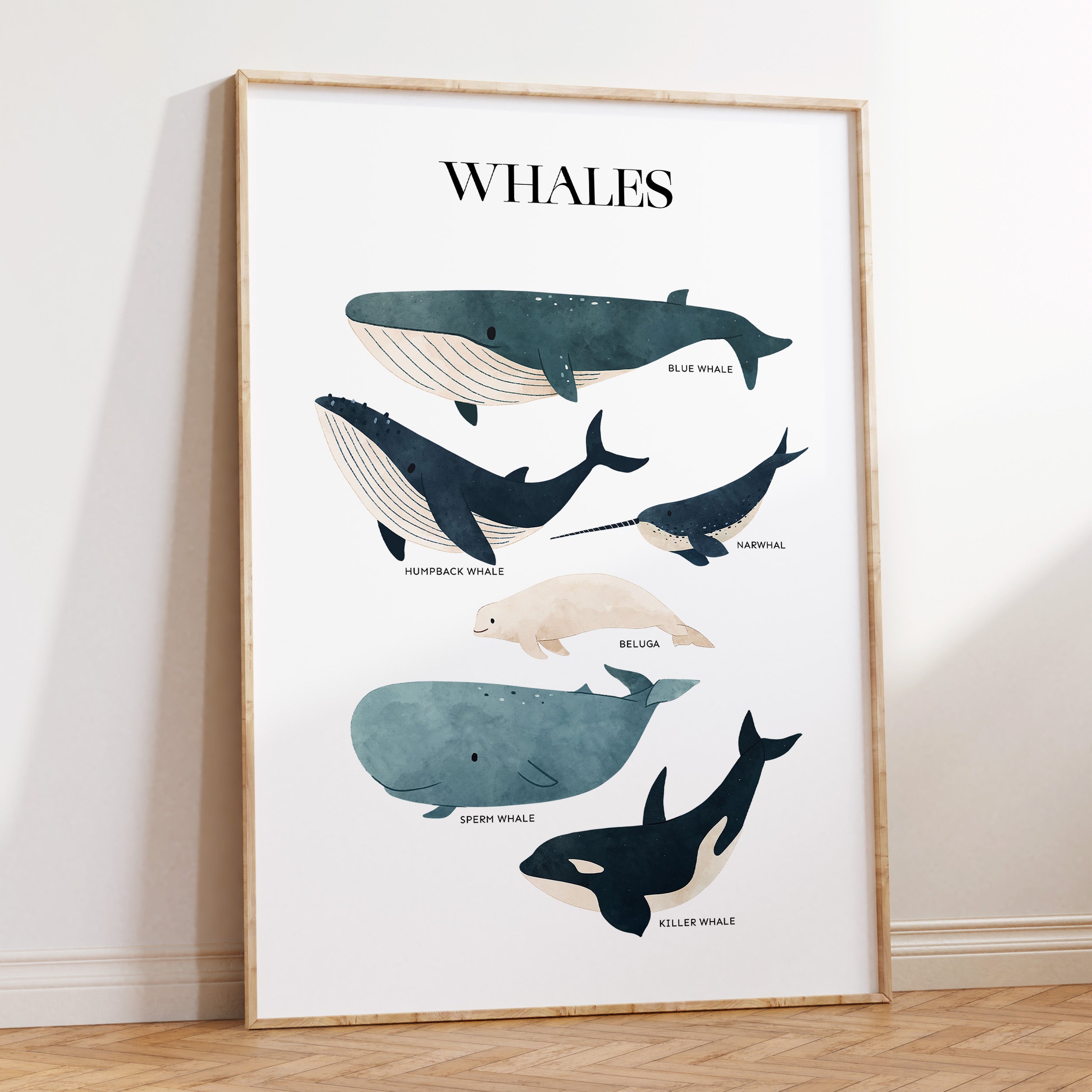 Whale Chart