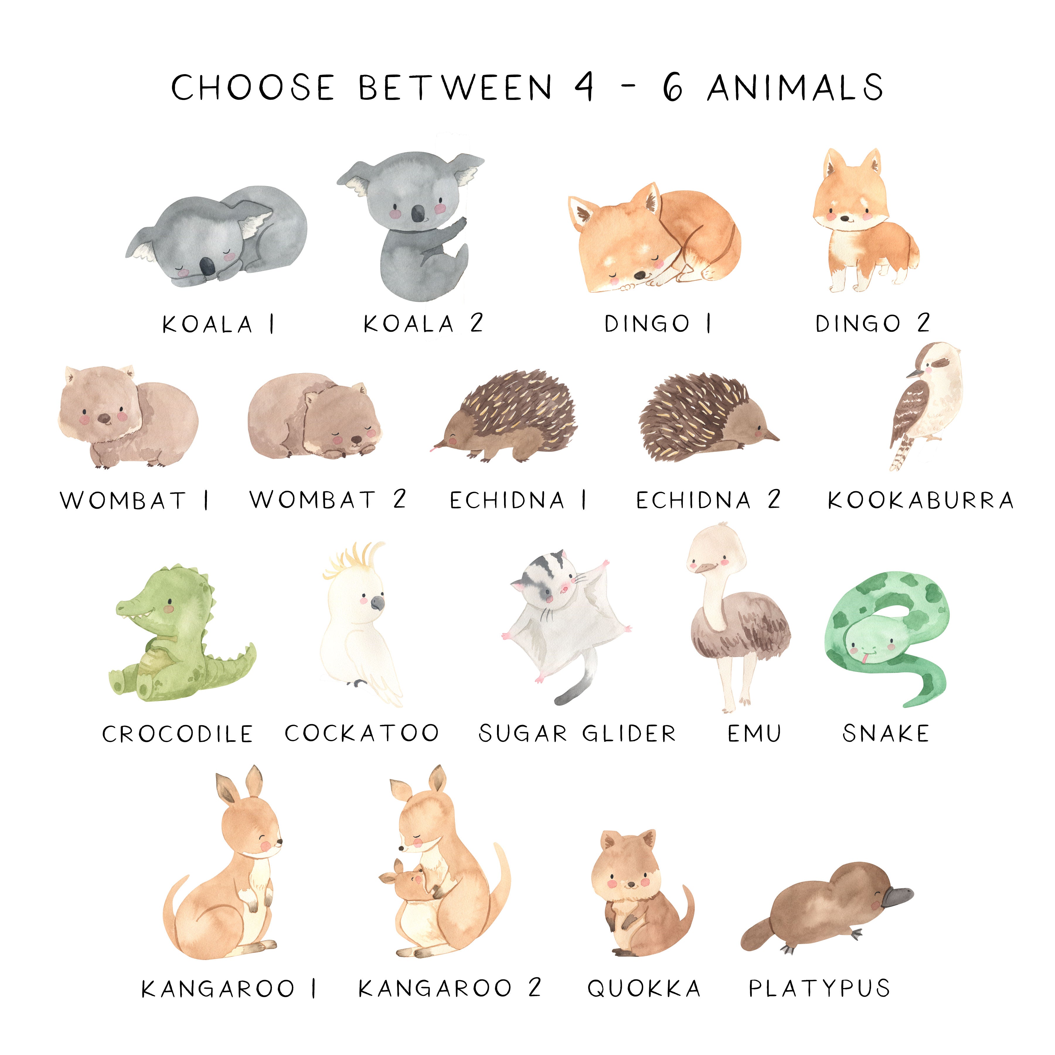 Australian Animals Floral Name Print
