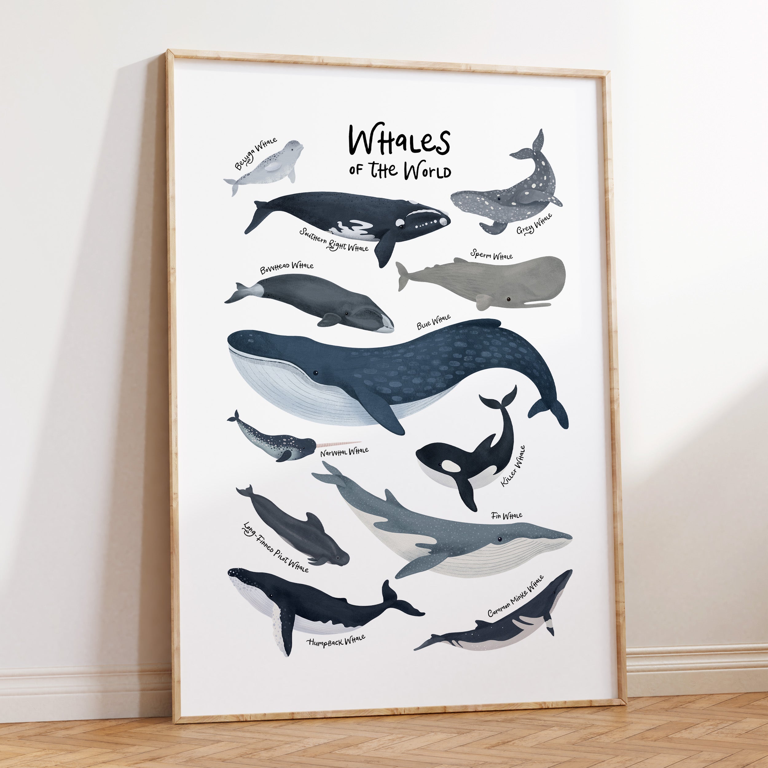 Whales of The World Print