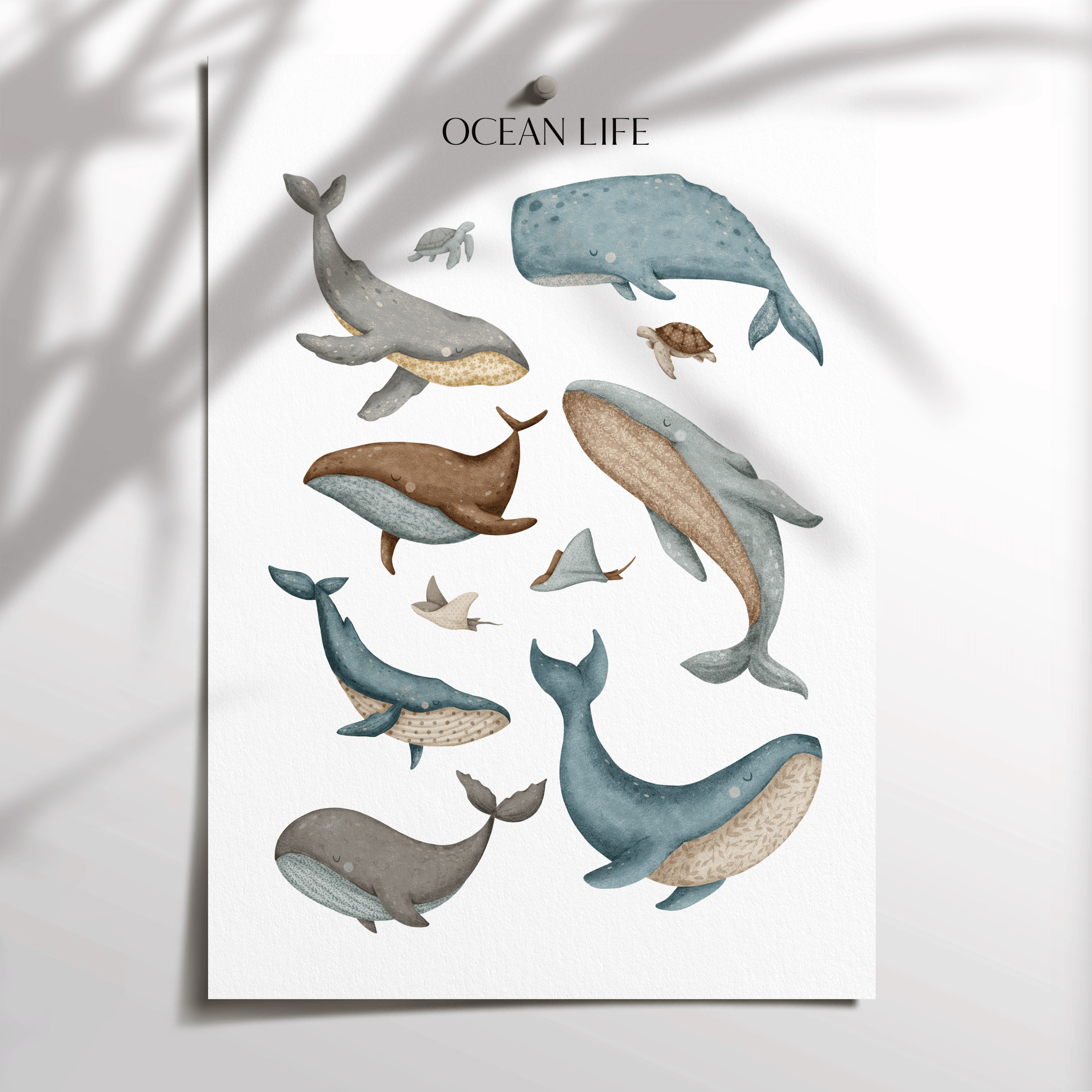 Ocean Life Print