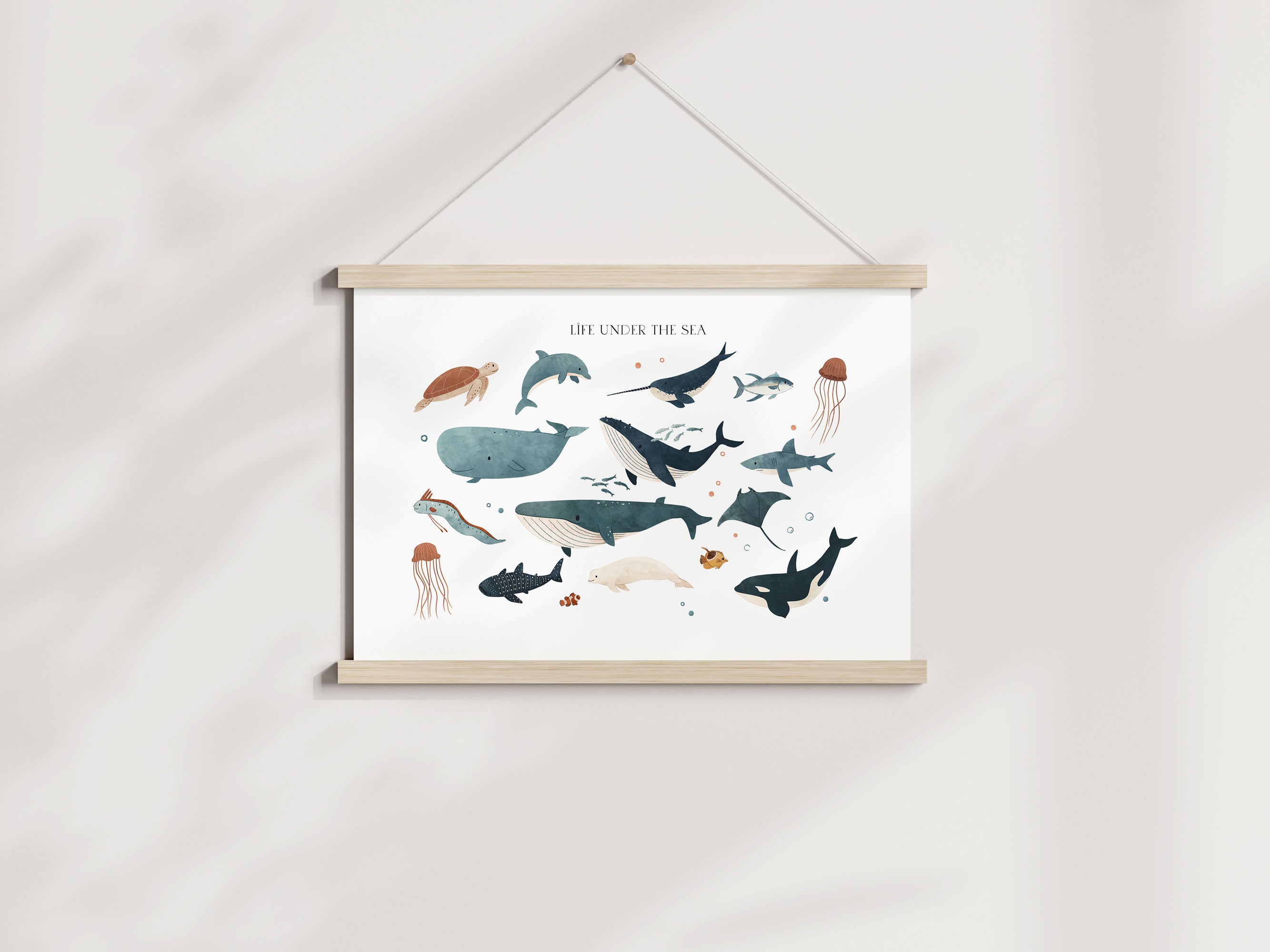 Ocean Animals Print