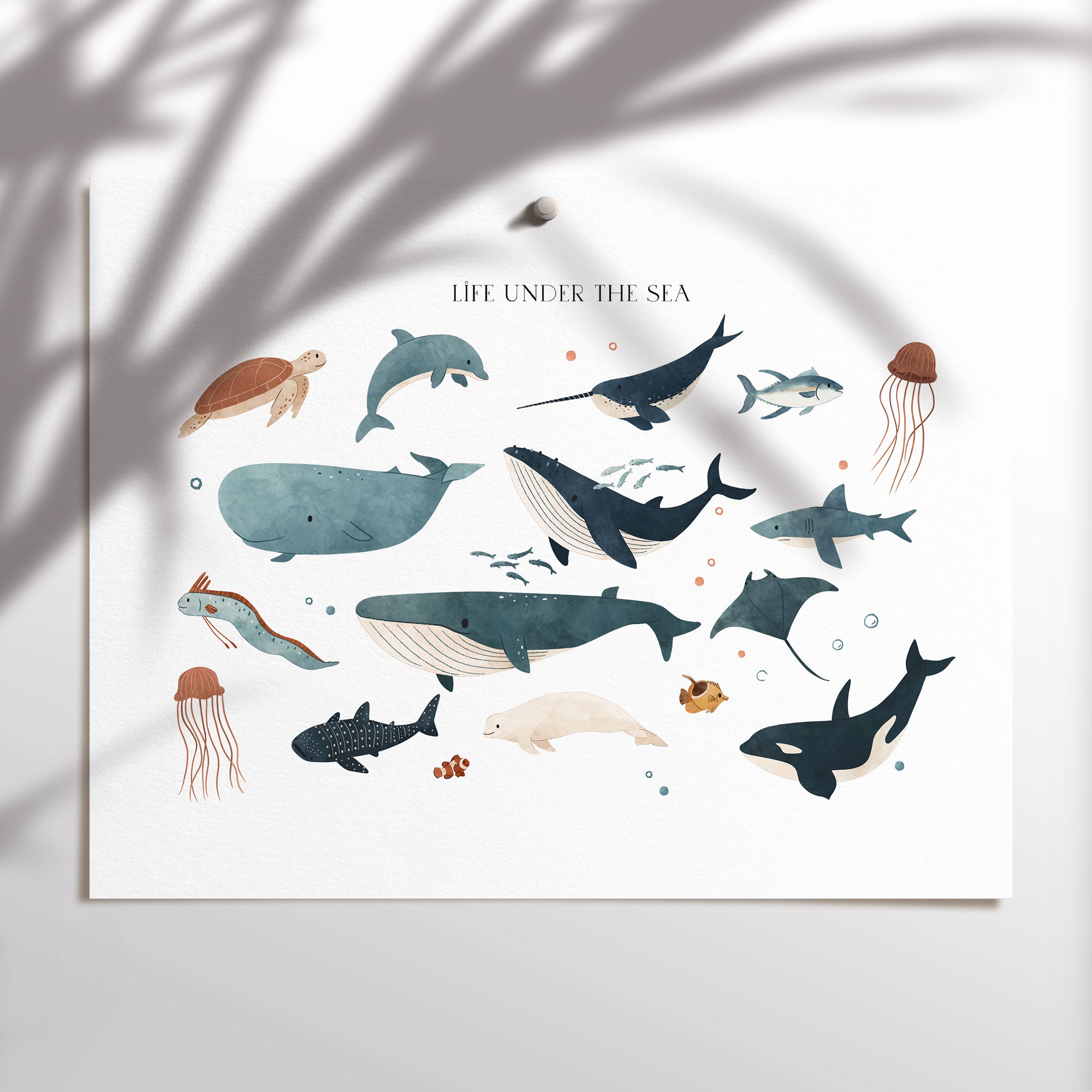 Ocean Animals Print