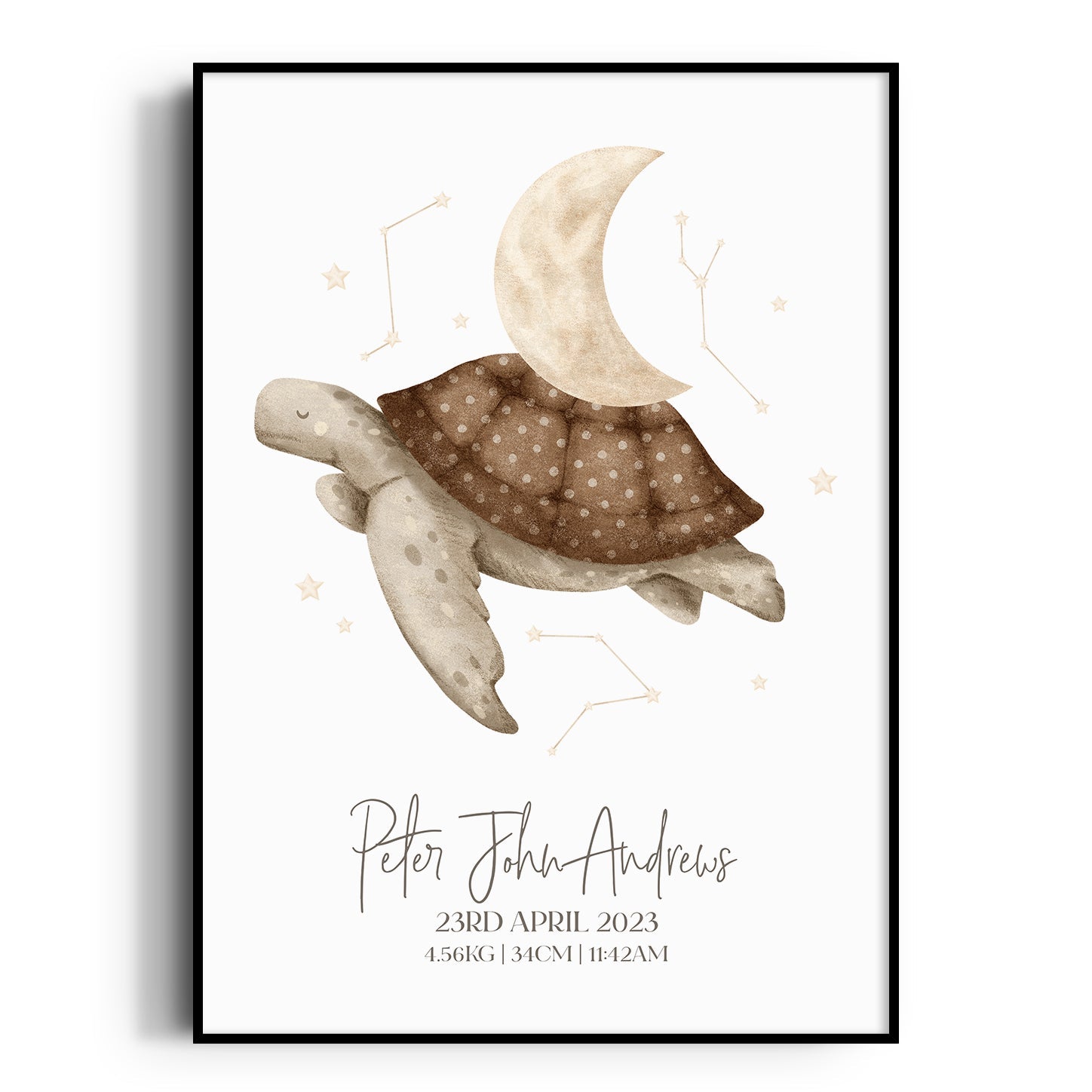 Boho Turtle Birth Print