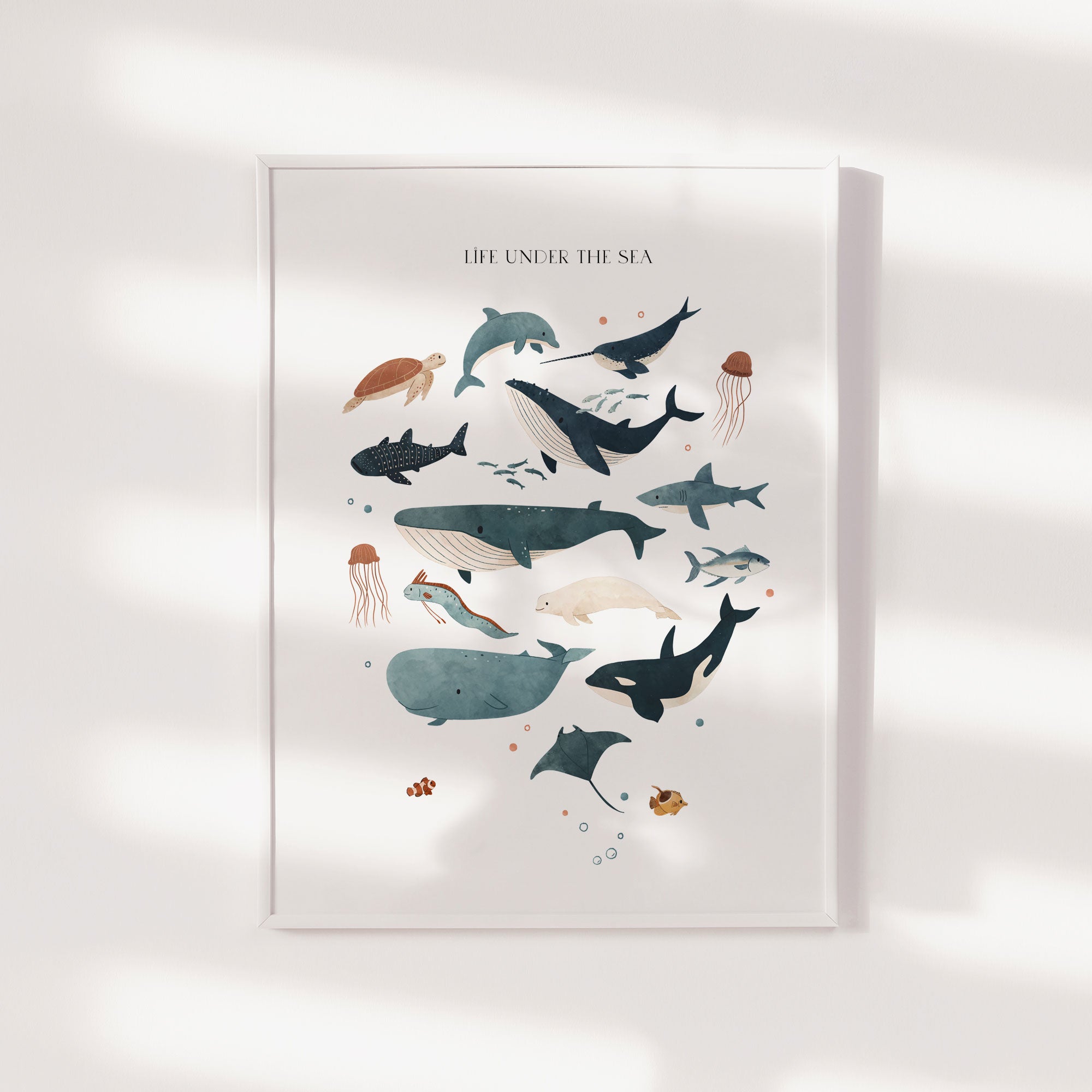 Ocean Animals Print