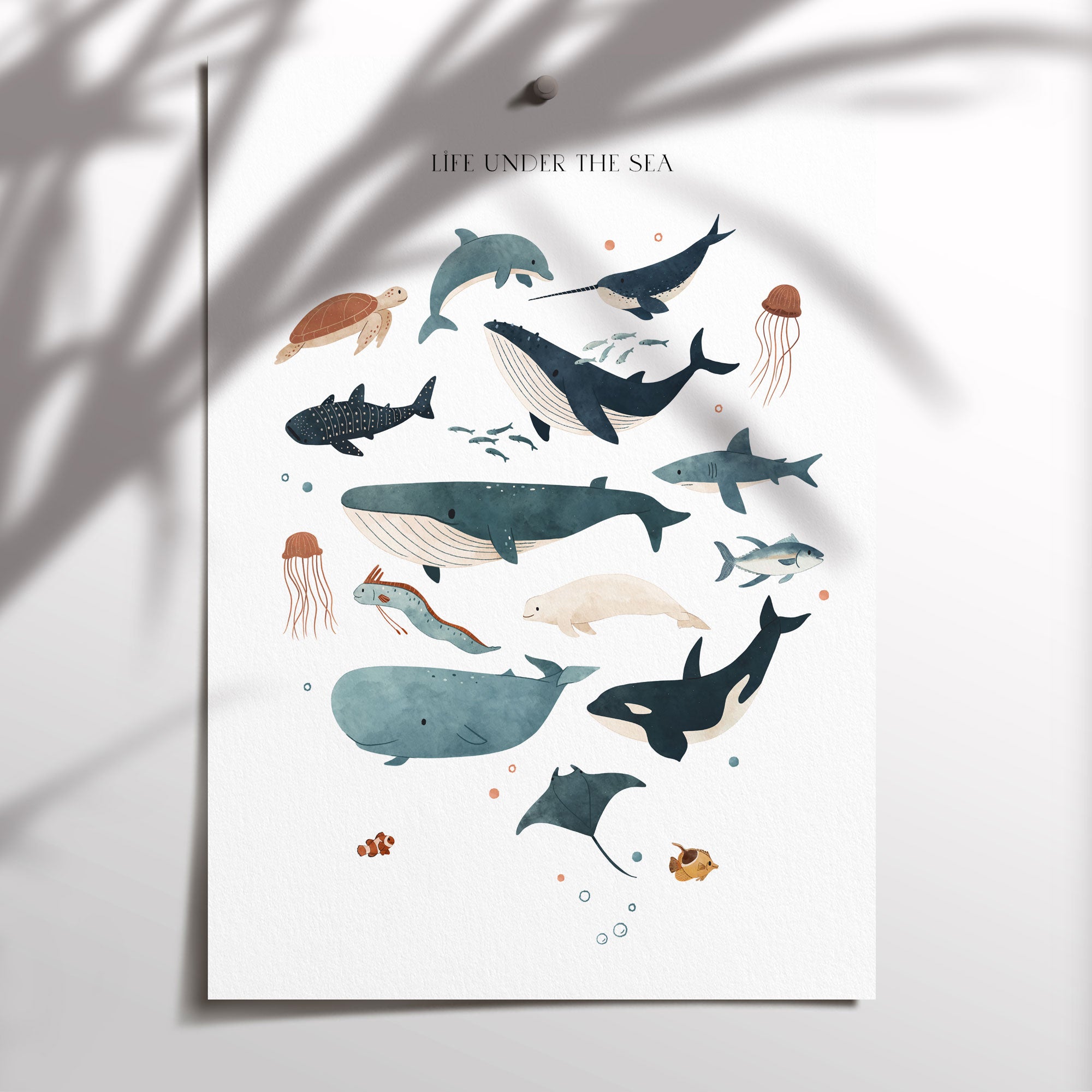 Ocean Animals Print
